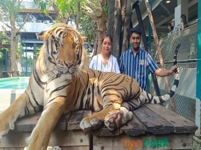 Honey Moon 01 - Thailand 